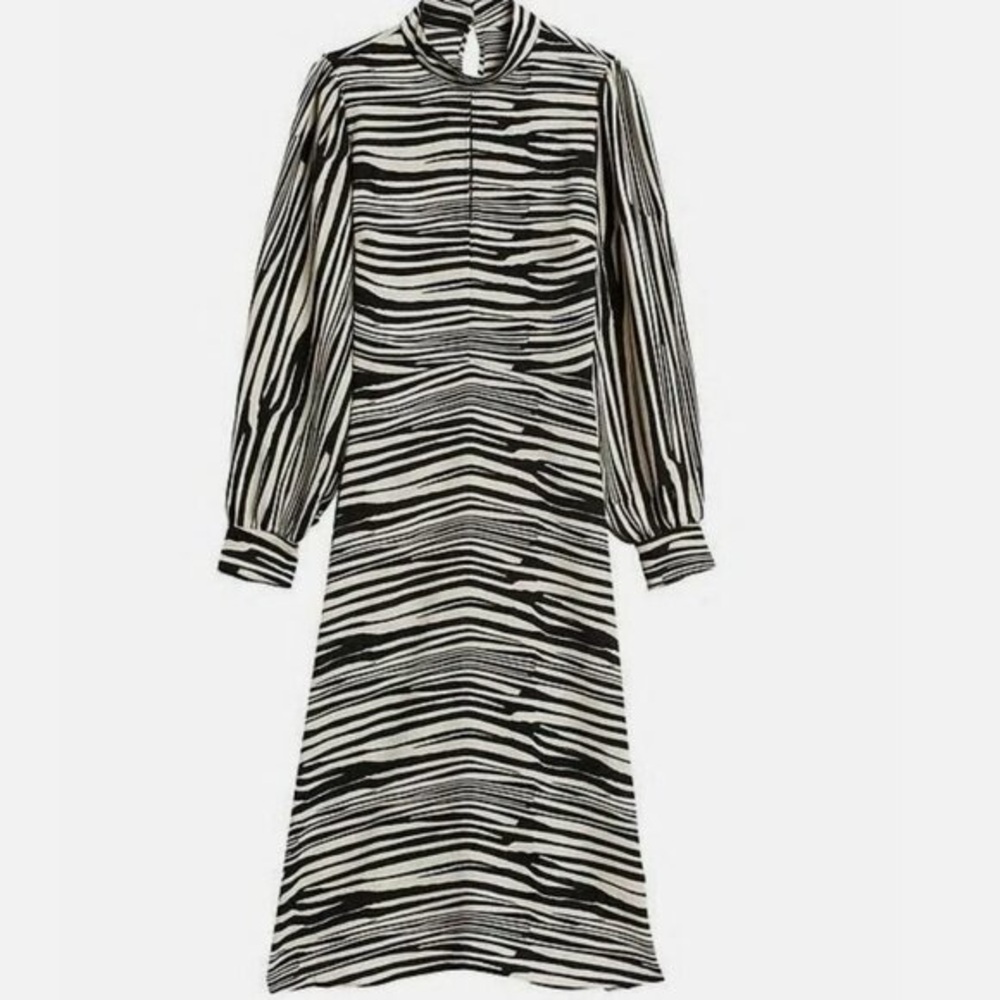 Banana Republic Zebra Print Long Sleeve Dress